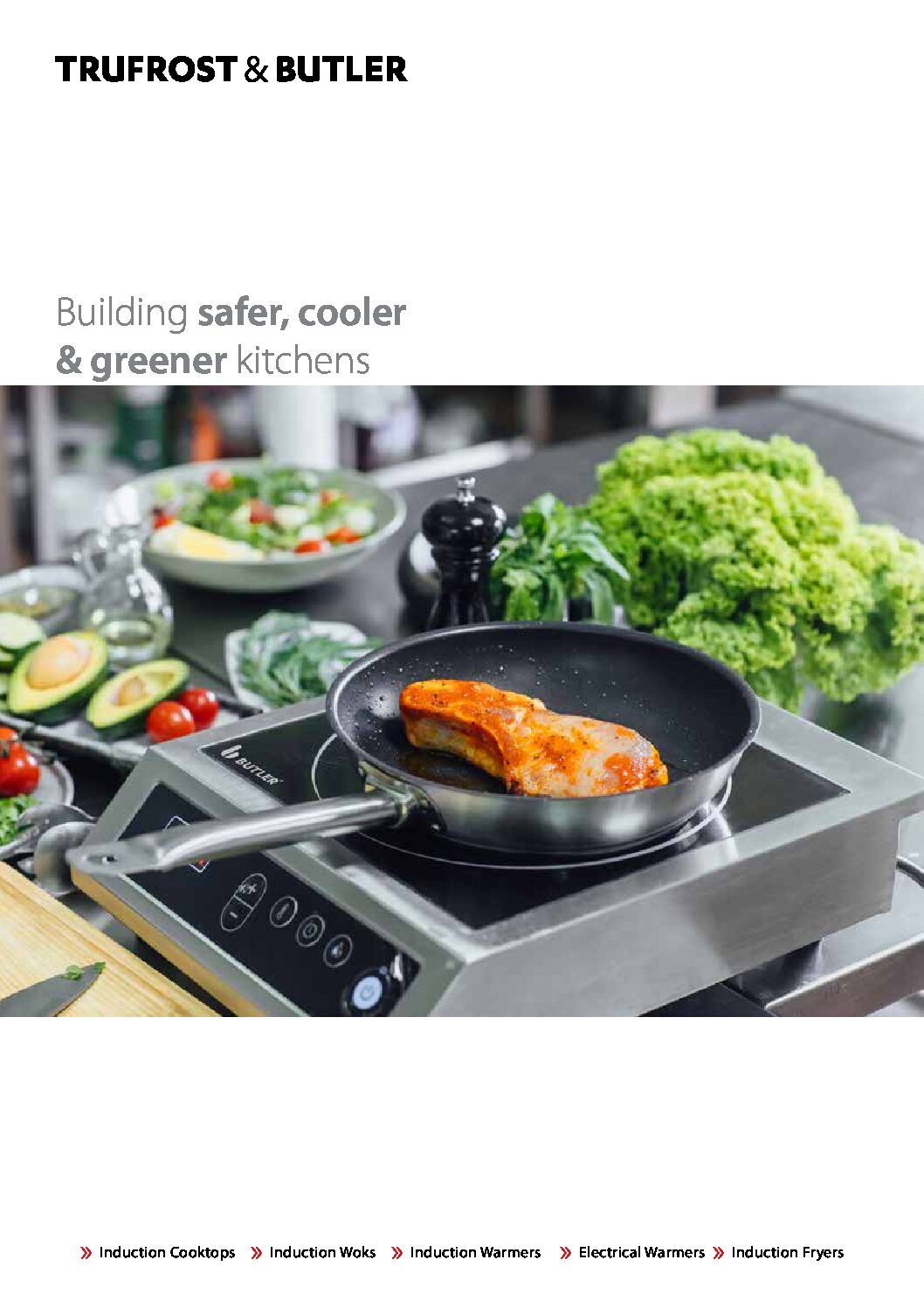 Commercial Induction Systems Trufrost